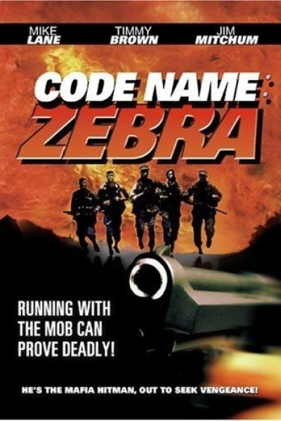 Zebra codice vendetta