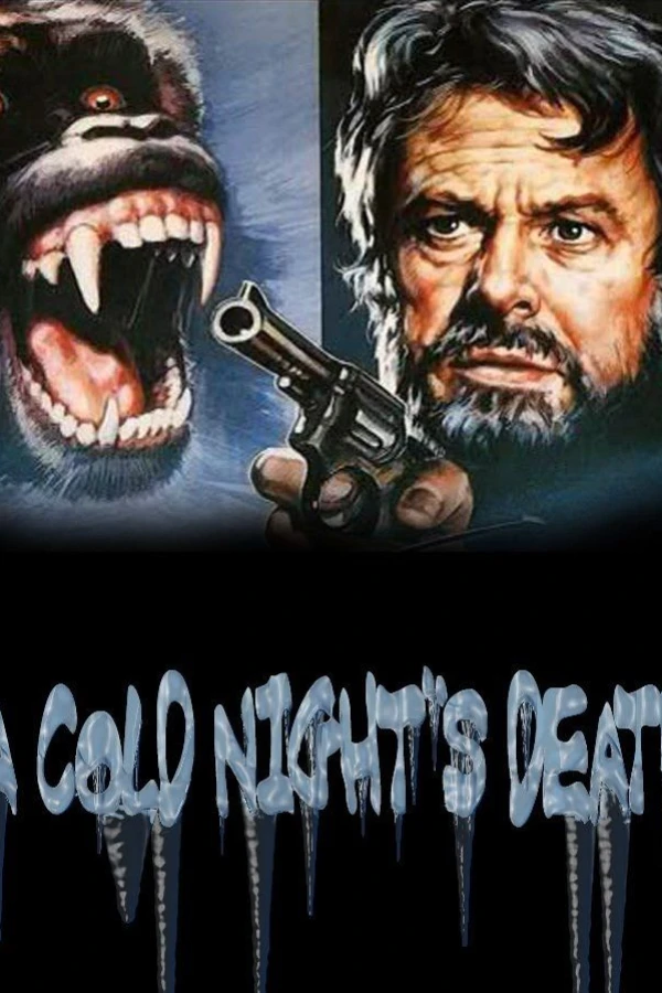 A Cold Night's Death Poster