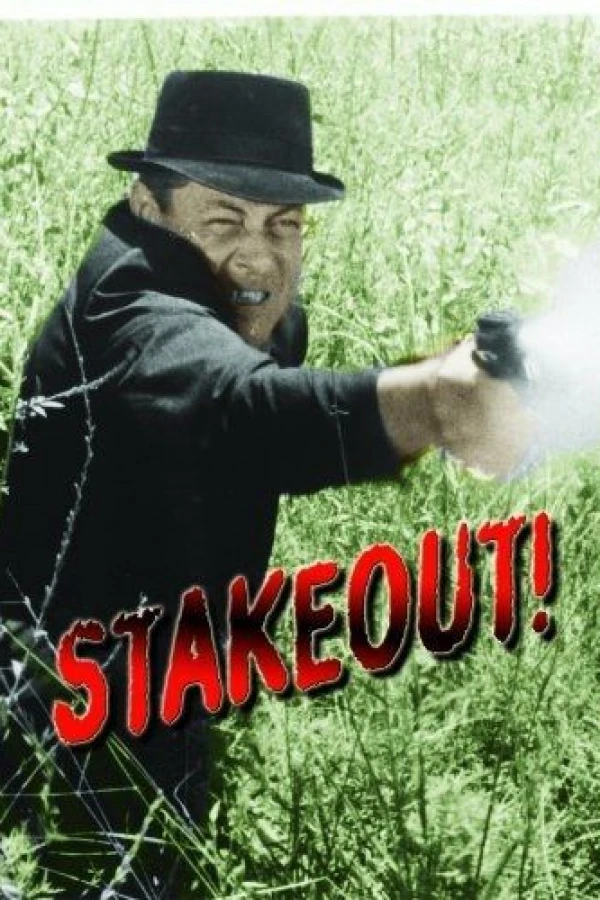 Stakeout! Poster