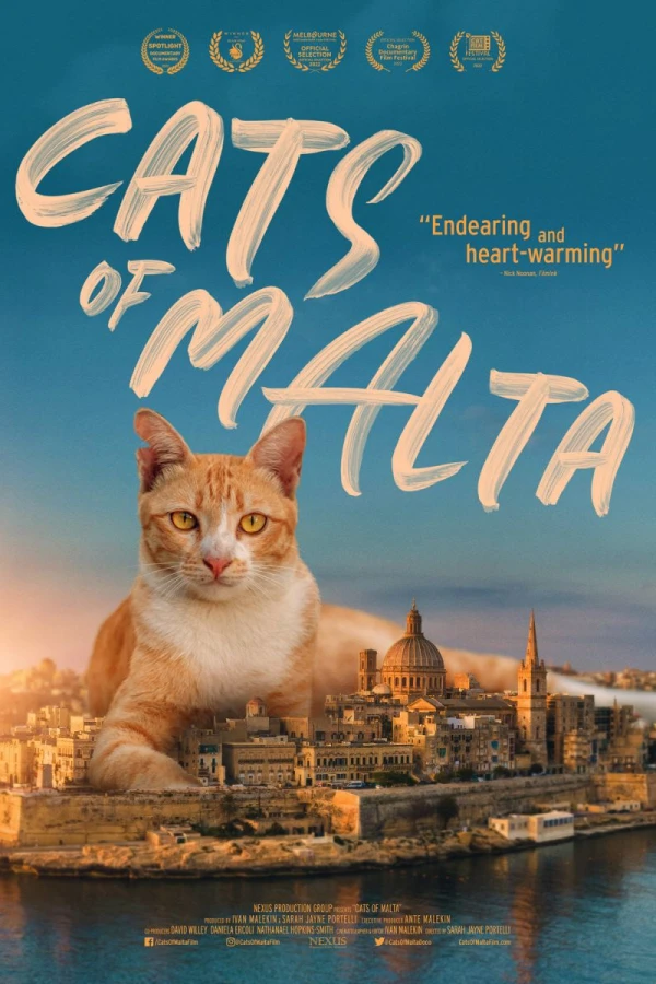 Cats of Malta Poster
