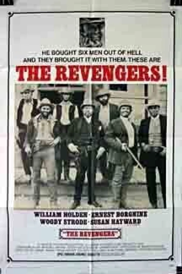 The Revengers Poster
