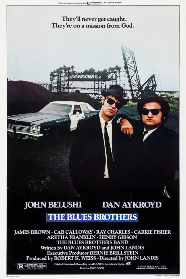 The Blues Brothers - I fratelli Blues Poster