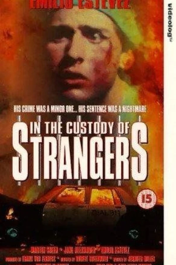 In the Custody of Strangers Poster