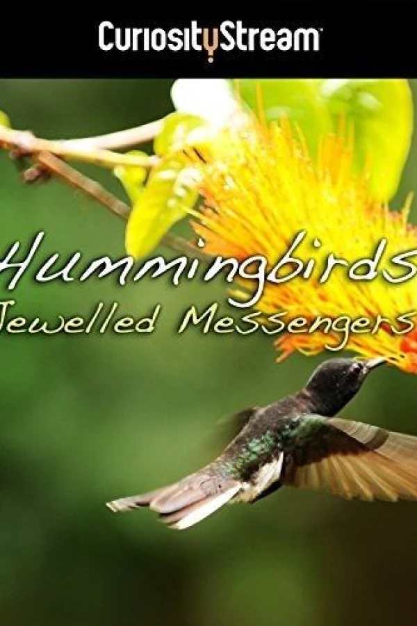 Hummingbirds Jewelled Messengers Poster