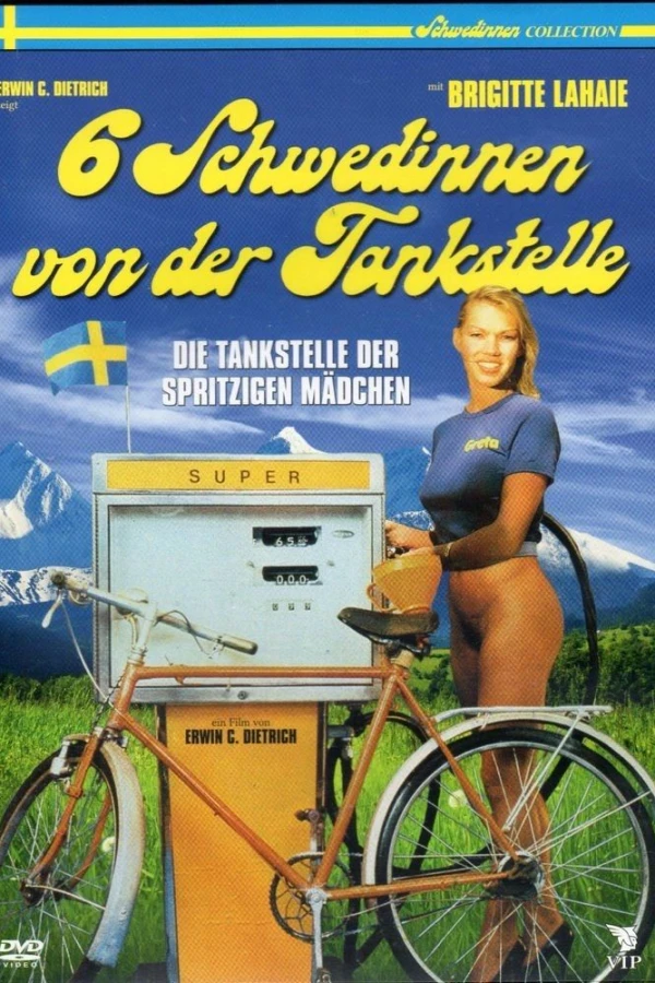 Superporno Girls in un College Svedese Poster
