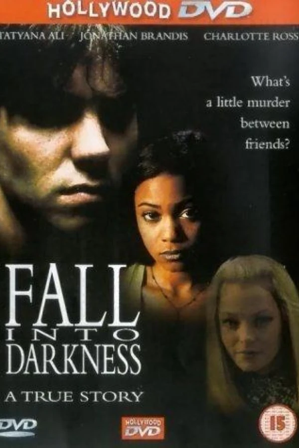 Fall Into Darkness Poster