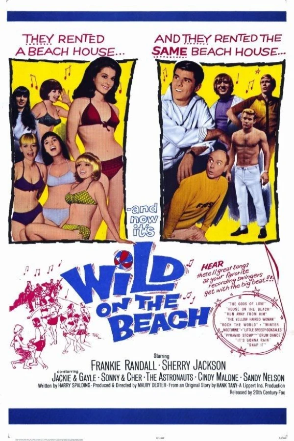 Wild on the Beach Poster