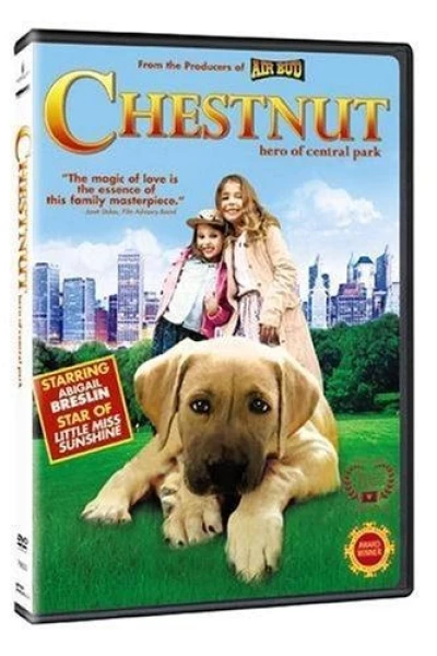 Chestnut - Un eroe a quattro zampe