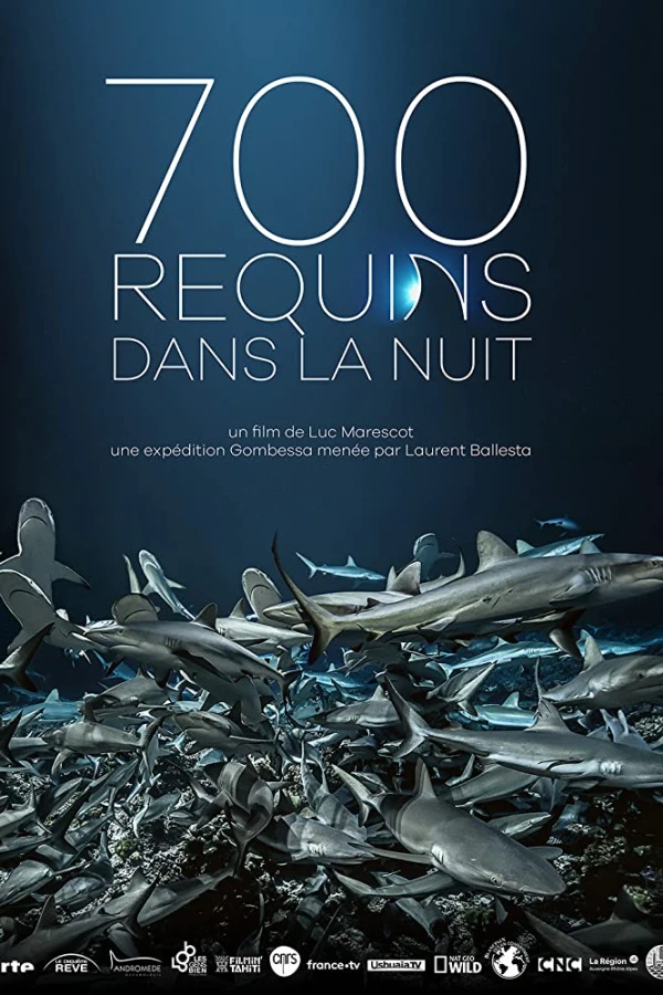 700 squali nella notte Poster