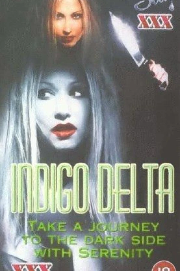 Indigo Delta Poster
