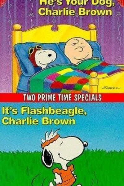 È un bracchetto flashdance, Charlie Brown